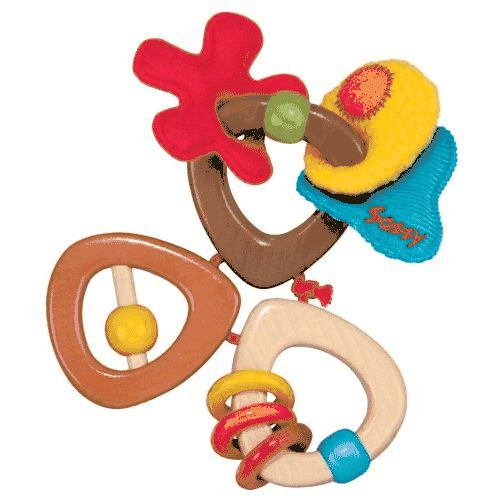 Sassy Earth Brights Wooden Trio Toy