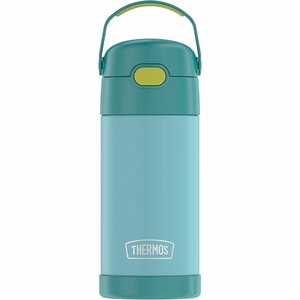 Thermos FUNtainer Vacuum Insulated Stainless Steel Straw Water Bottle, 12oz - Blue / Green